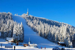 VIP Apartment Stenata Complex Pamporovo